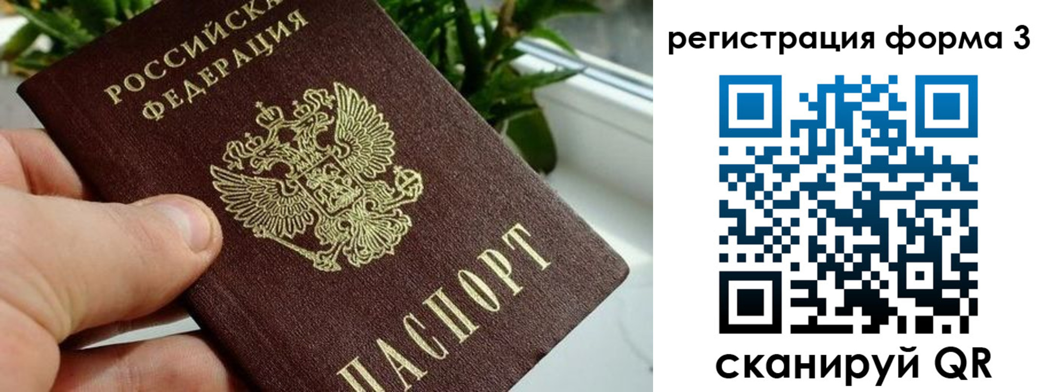 прописка штамп в Гагарине